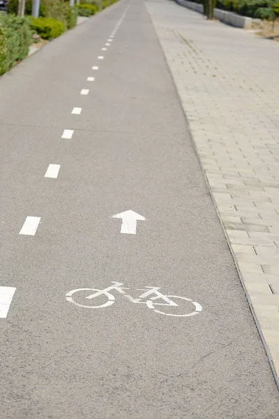 Exklusiva Sökväg För Cyklar Vilaseca Provinsen Tarragona Katalonien Spanien — Stockfoto