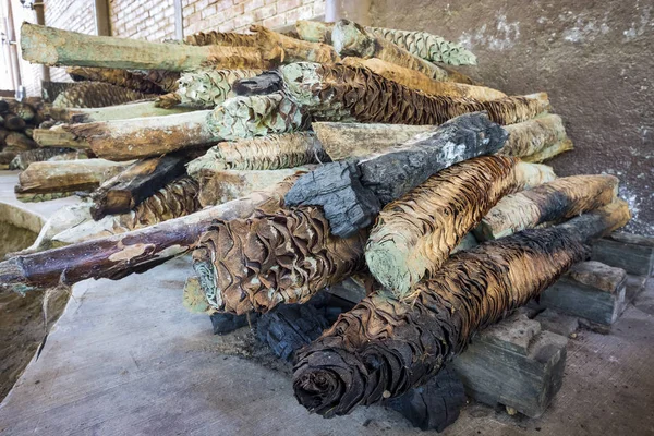 Abacaxis Agave Corações Agave Preparação Para Produzir Mezcal Uma Bebida — Fotografia de Stock