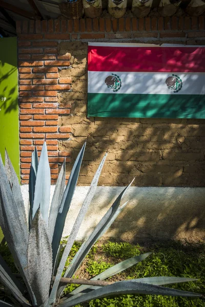 メスカルを生成するリュウゼツランとメキシコの国旗と Adobe 壁の後ろの庭 — ストック写真
