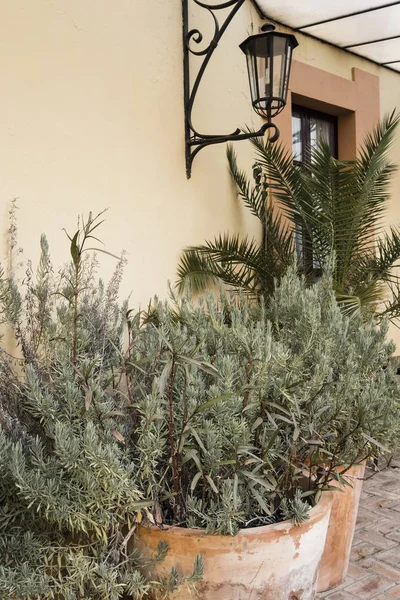 スペイン南部に位置する地中海の家のアンダルシア スタイルの庭園 — ストック写真