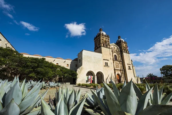 Oaxaca Mexiko Října 2017 Přední Vnější Pohled Santo Domingo Chrámu — Stock fotografie