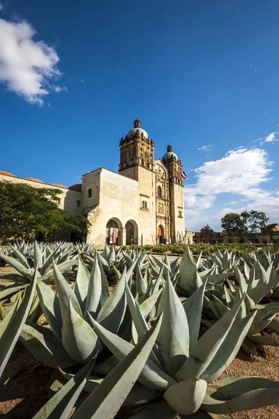 Oaxaca Mexiko Října 2017 Přední Vnější Pohled Santo Domingo Chrámu — Stock fotografie