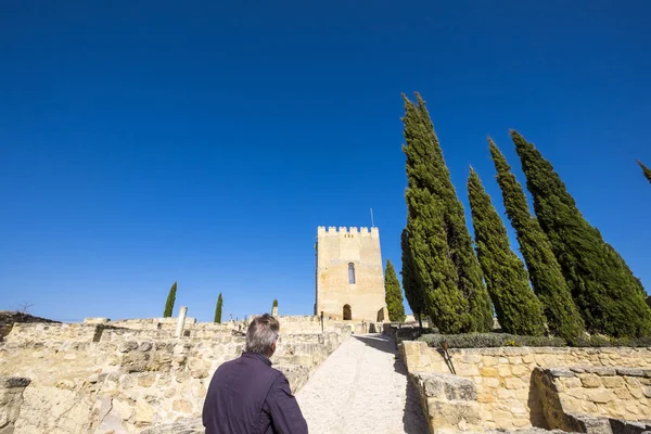 Alcala Real Andalousie Espagne Mars 2017 Château Site Défensif Nazar — Photo