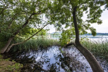 Lake Banolas (Katalanca dilinde Banyoles) il Gerona İspanya Avrupa'nın Katalonya Özerk topluluğunda peyzaj