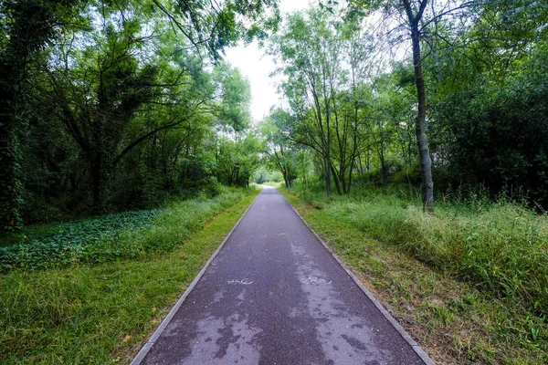 Landscape Road Surrounds Whole Lake Banolas Banyoles Catalan Language Province — Stock Photo, Image