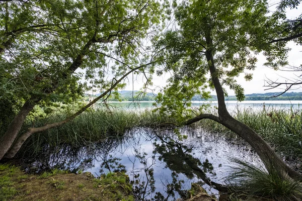Lake Banolas (Katalanca dilinde Banyoles) il Gerona İspanya Avrupa'nın Katalonya Özerk topluluğunda peyzaj