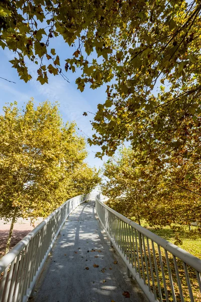 Ramp Climbing Bridge Pedestrians Mobility Problems Park Barcelona Autumn Season — Stock Photo, Image