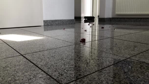 Ρομποτική ηλεκτρική σκούπα στο φωτεινό μαρμάρινο πάτωμα — Αρχείο Βίντεο
