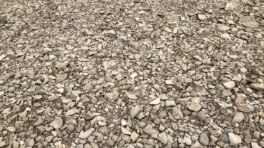 Tuna Nehri Almanya'da sızma