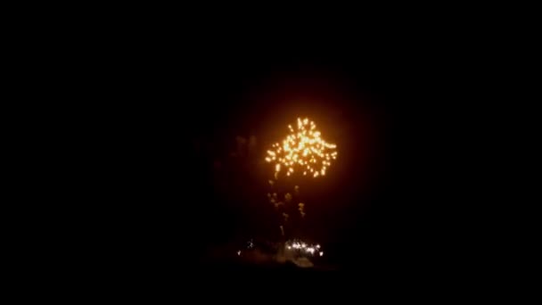 Gelukkig Nieuwjaar: vuurwerk — Stockvideo
