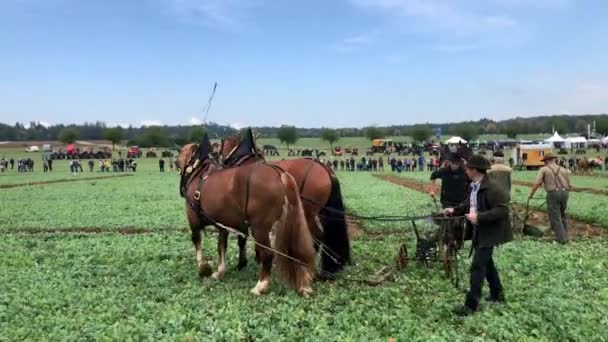 Vorführung der altmodischen Pflügetechnik mit Pferden beim Weltpflügewettbewerb in Deutschland 2018 — Stockvideo