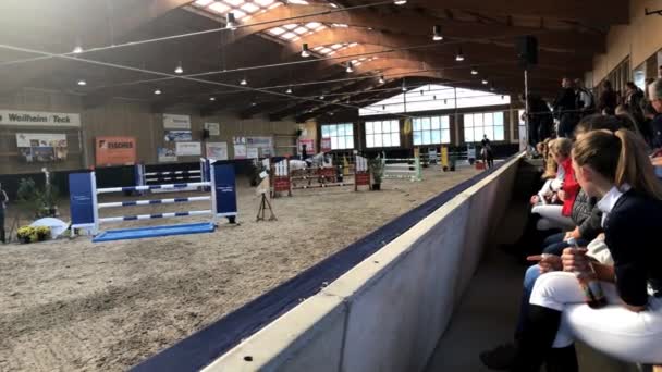 Esportes Equestres, Salto a cavalo, Show Jumping, Equitação temático foto — Vídeo de Stock