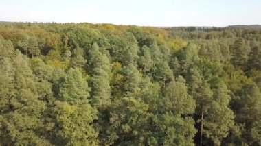 Doğal korumak Stuttgart yakınındaki 