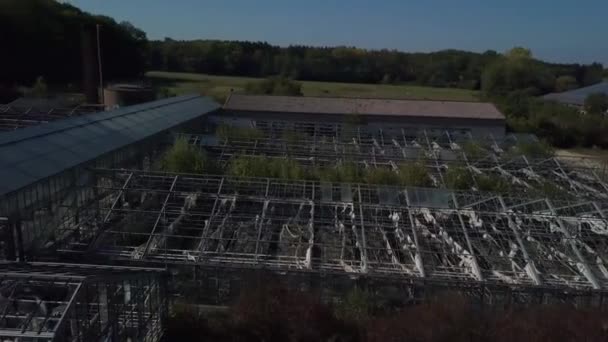 Old abandoned greenhouse — Stock Video