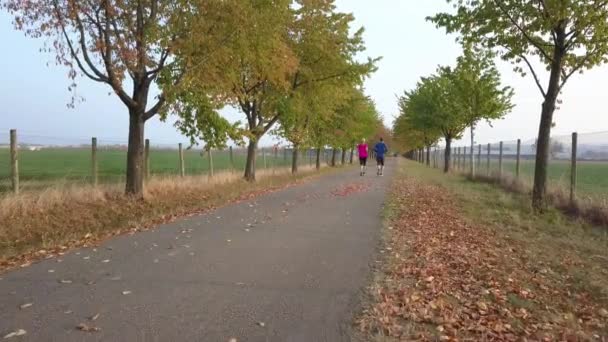 Couple courant dans la ruelle en automne — Video