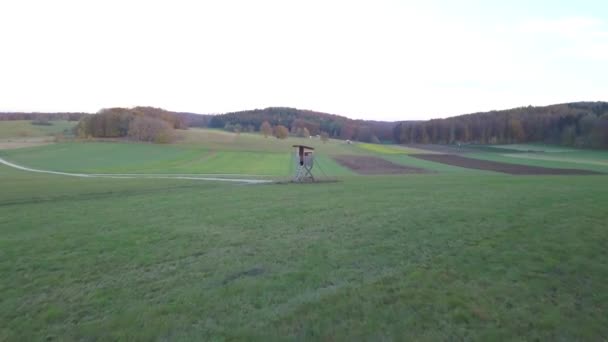 Flyg över skog och ängar med upphöjda Dölj — Stockvideo