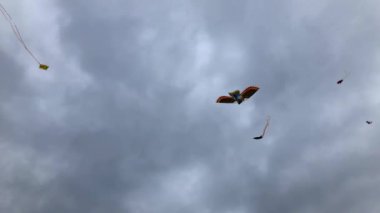 Dramatik sonbahar gökyüzü karşı uçan uçurtma