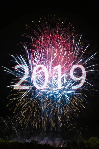 Happy New Year 2019 — Stock Photo, Image