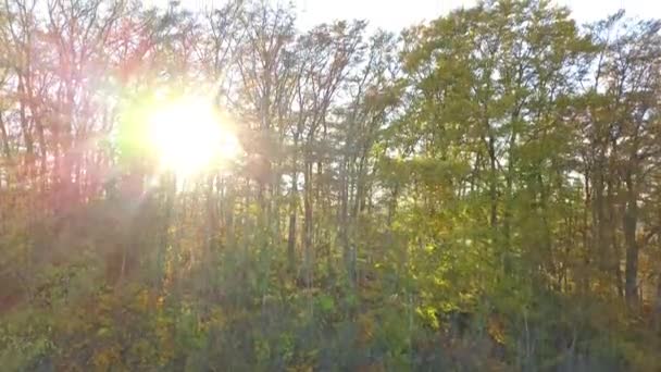 Indian Summer in the Swabian Jura — Stock Video