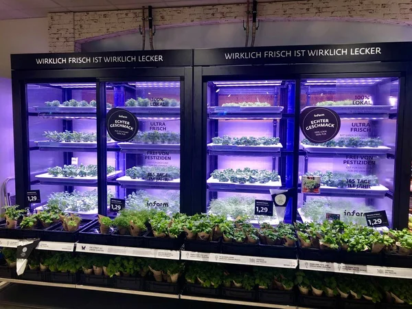 Instore and indoor greenhouse at a supermarket in Germany — Stock Photo, Image