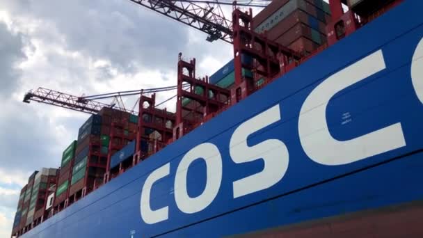 Containerschiff cosco shipping leo — Stockvideo
