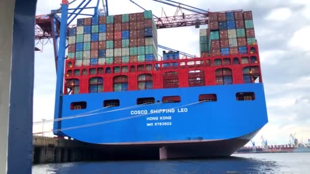 Container fartyg Cosco sjöfart Leo — Stockvideo