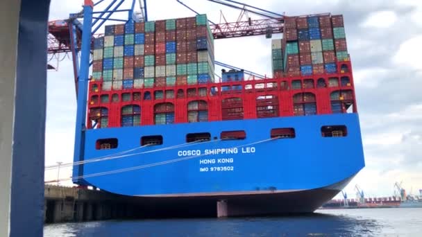 Контейнерный корабль COSCO SHIPPING LEO — стоковое видео