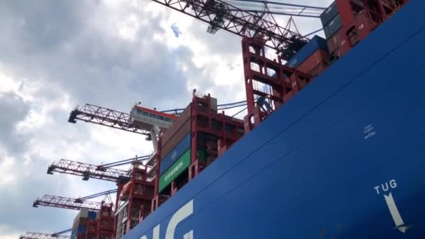 Navio porta-contentores COSCO TRANSPORTE LEO — Vídeo de Stock