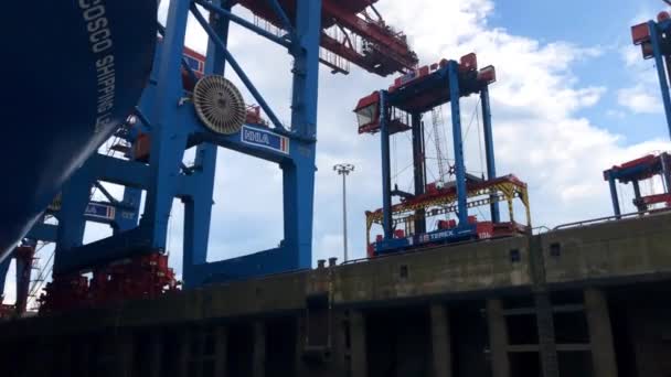 Kapal kontainer COSCO SHIPPING LEO — Stok Video