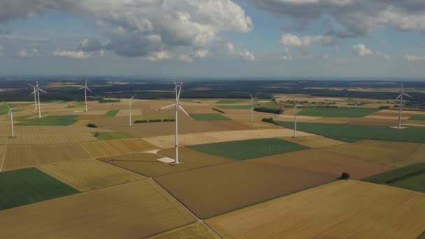 옥수수 밭의 풍력 터빈 — 비디오