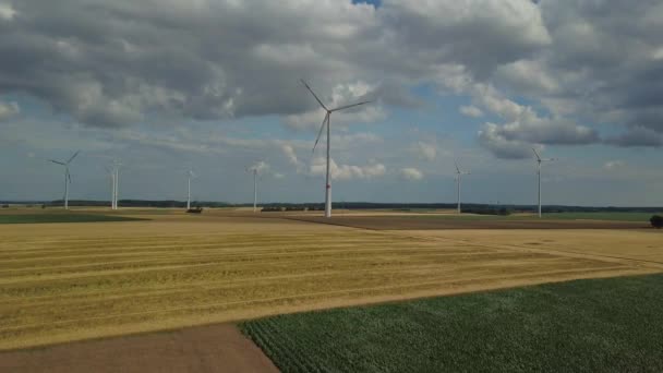 Aerogeneradores en campos de maíz — Vídeo de stock