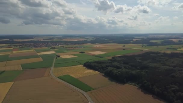 Větrné turbíny v kukuřičných polích — Stock video