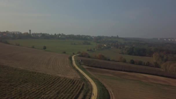 Вид з повітря на людину, що проходить через поля — стокове відео