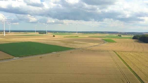 Turbiny wiatrowe w polach kukurydzy — Wideo stockowe