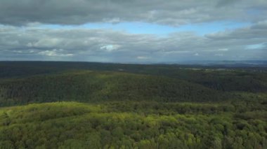 Sonbaharda ormanın havadan görünüşü