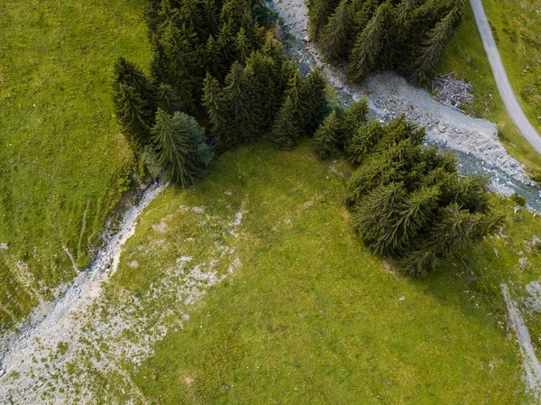 Letecký pohled na stromy a stezky pro pěší turistiku a horská kola v lyžařské oblasti Hinterglemm v Alpách v Rakousku za slunečného letního dne — Stock fotografie
