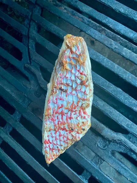 美味的北方红鱼鱼片，准备在烧烤架上吃 — 图库照片