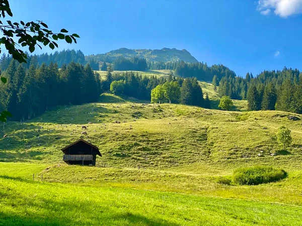 Przytulny domek i góry w regionie narciarskim Hinterglemm w Alpach w Austrii w słoneczny letni dzień — Zdjęcie stockowe