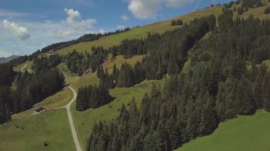 Avusturya 'daki Alpler' deki Saalbach-Hinterglemm 'de orman ve dağ manzarası üzerinden uçmak. Güneşli bir yaz gününde