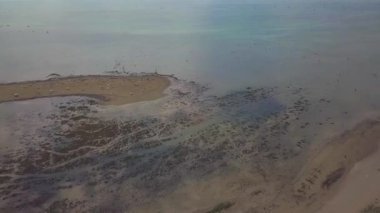 Kuzey Adriyatik Denizi 'ndeki Gorizia eyaletinin Grado plajında kumsalın keyfini çıkaran tanımlanamayan insanların hava manzarası.