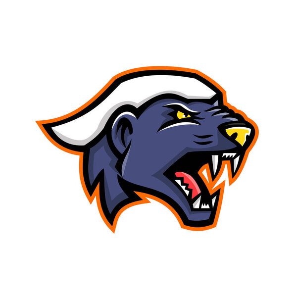 Mascot icon illustration of head of angry and aggressive honey badger (Mellivora capensis), also known as the ratel  viewed from side on isolated background in retro style.