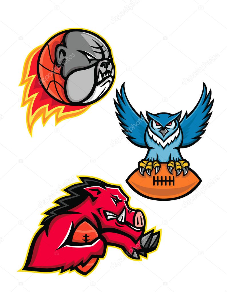 Mascot icon illustration set of American football or gridiron and basketball sports mascot like the bulldog, great horned owl clutching ball and razorback or wild boar running with ball on isolated background in retro style.