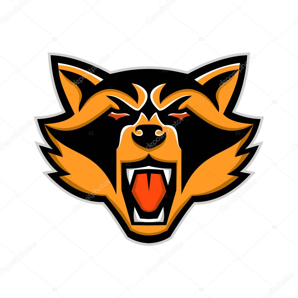 Mascot icon illustration of head of an angry raccoon, racoon, common raccoon, North American raccoon or northern raccoon, is a medium-sized mammal front view on isolated background in retro style.