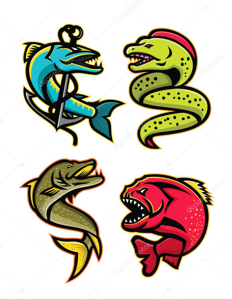 Mascot icon illustration set of ferocious and fearsome fishes like the barracuda, moray eel, northern pike or muskellunge fish, the piranha, pirana or caribe viewed from side  on isolated background in retro style.