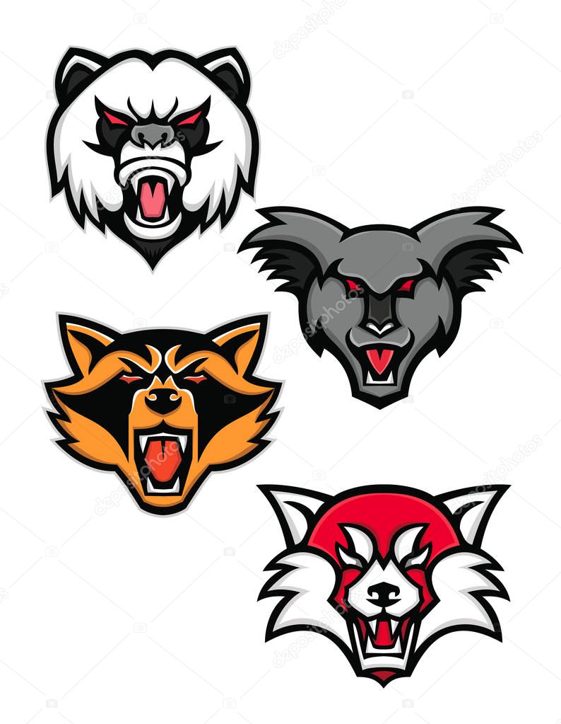 Mascot icon illustration set of heads of angry giant panda or panda bear, koala, racoon or raccoon and the red panda or red bear-cat  viewed from front  on isolated background in retro style.