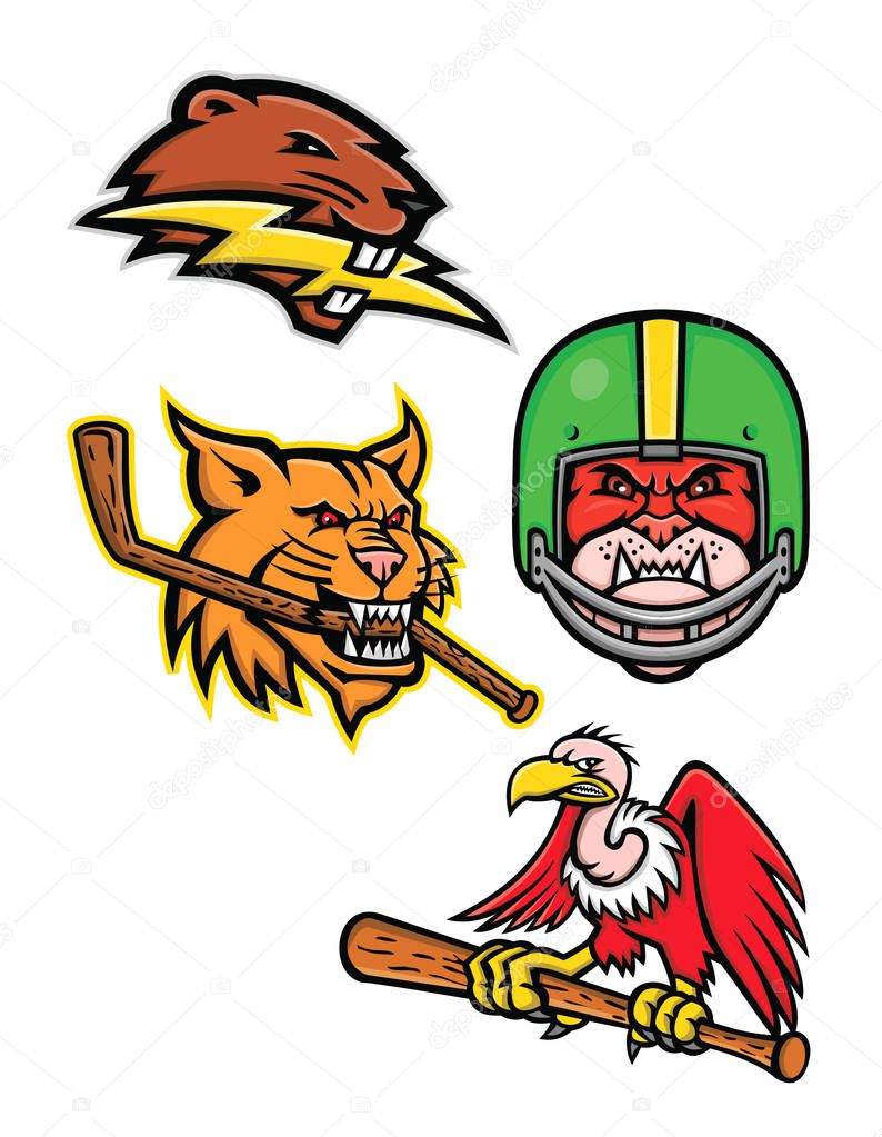 Sports mascot icon illustration set of heads of American wildlife like the North American beaver with lightning bolt, bobcat or lynx cat with ice hockey stick, bulldog wearing gridiron or football helmet and California condor or vulture with baseball