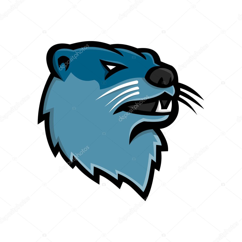 Mascot icon illustration of head of a North American river otter, northern river otter or the common otter, a semiaquatic mammal endemic to the North America on isolated background in retro style.