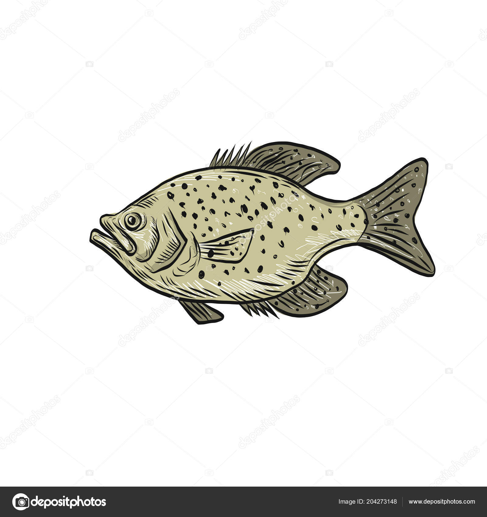 73 ilustraciones de stock de Pez tipo de pez | Depositphotos®