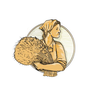 Drawing sketch style illustration of female Russian or Eastern European wheat farmer or organic farmer holding a bunch of wheat stalk looking forward set inside circle on isolated background. clipart