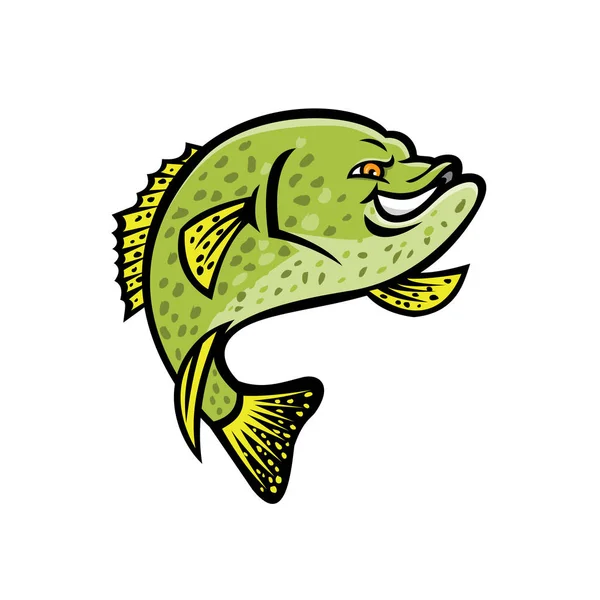 Maskottchen Ikone Illustration Eines Crappie Papermouth Erdbeer Bass Gesprenkelt Bass — Stockvektor